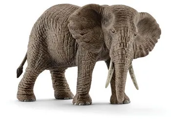 African Elephant female