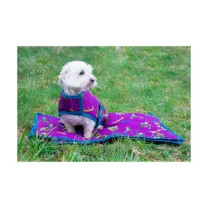 Benji & Flo Thelwell Collection Pony Friends Dog Coat
