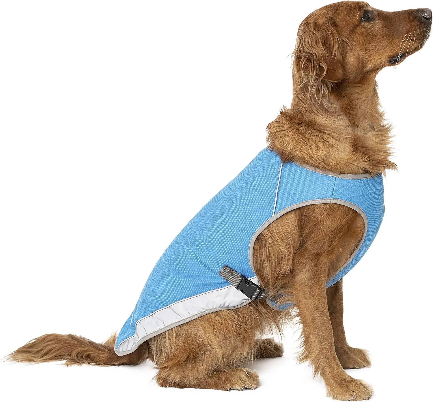 Canada Pooch Chill Seeker Cooling Vest - Blue - Size 8