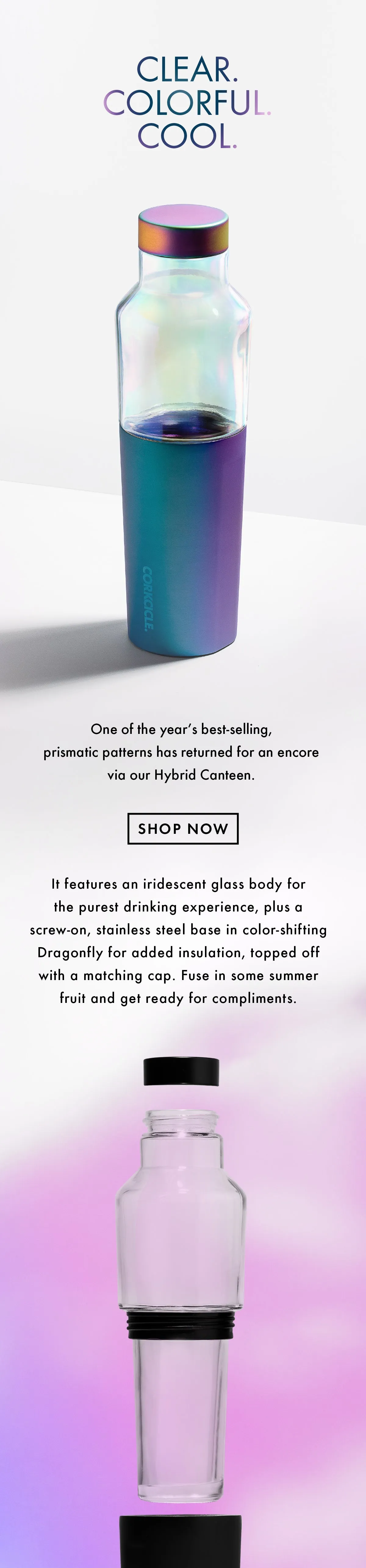 Corkcicle 20oz Hybrid Canteen