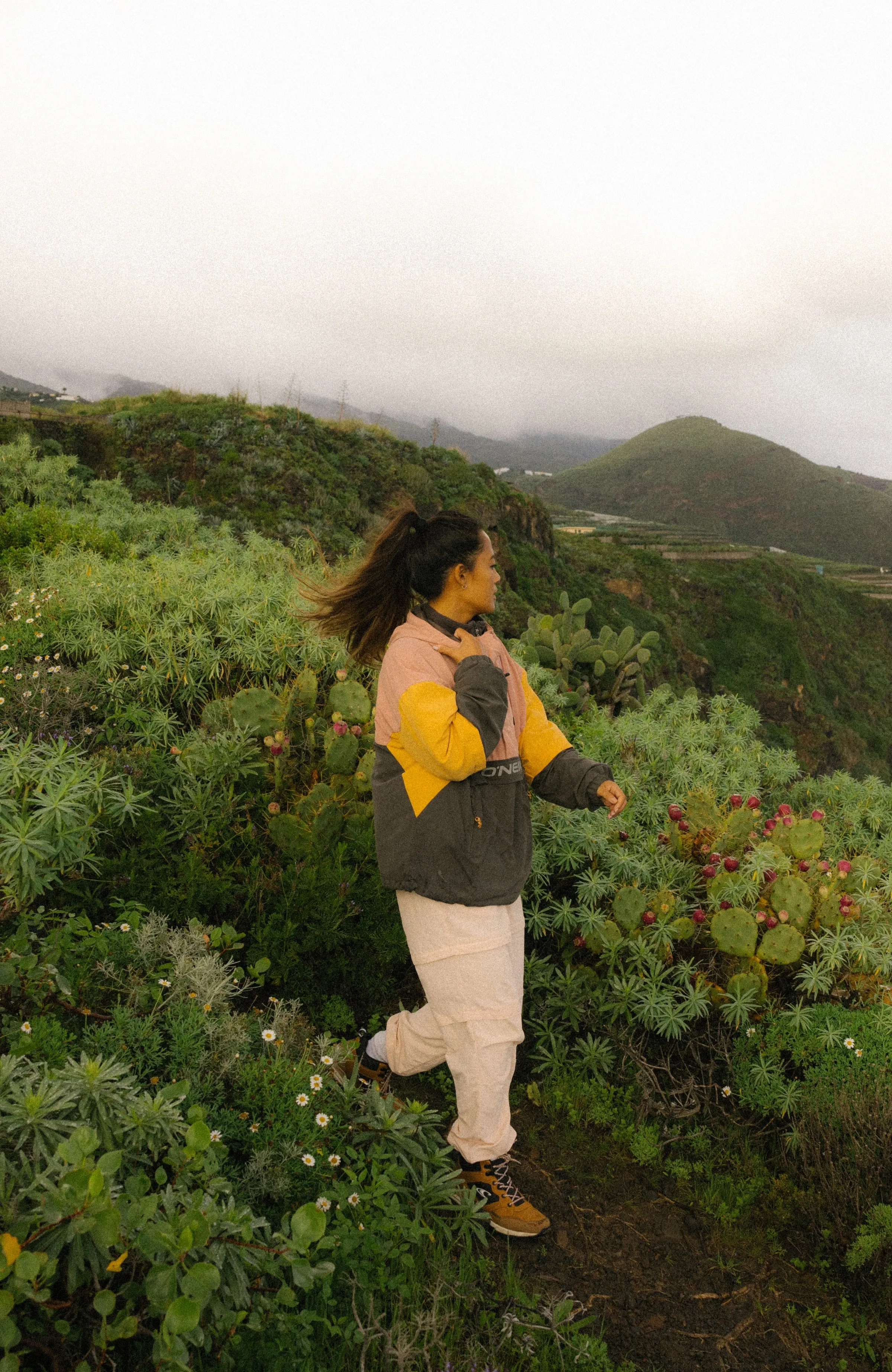 Modular Anorak Jacke | Ash Rose Colour Block
