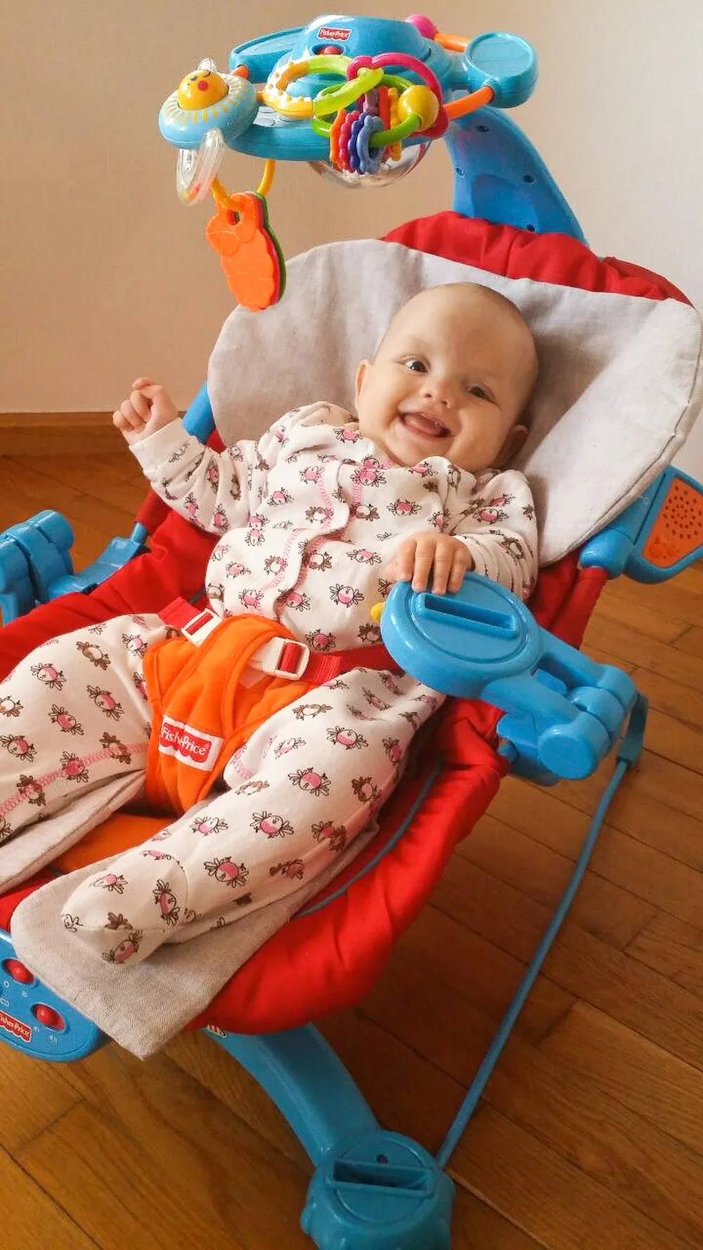 Organic Cooling Infant Car Seat Flax Inserts & Linen Covers
