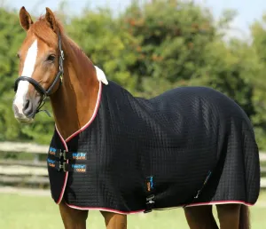 PEI Premtex Cooler Rug