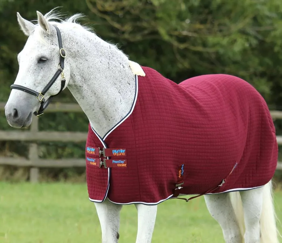 PEI Premtex Cooler Rug