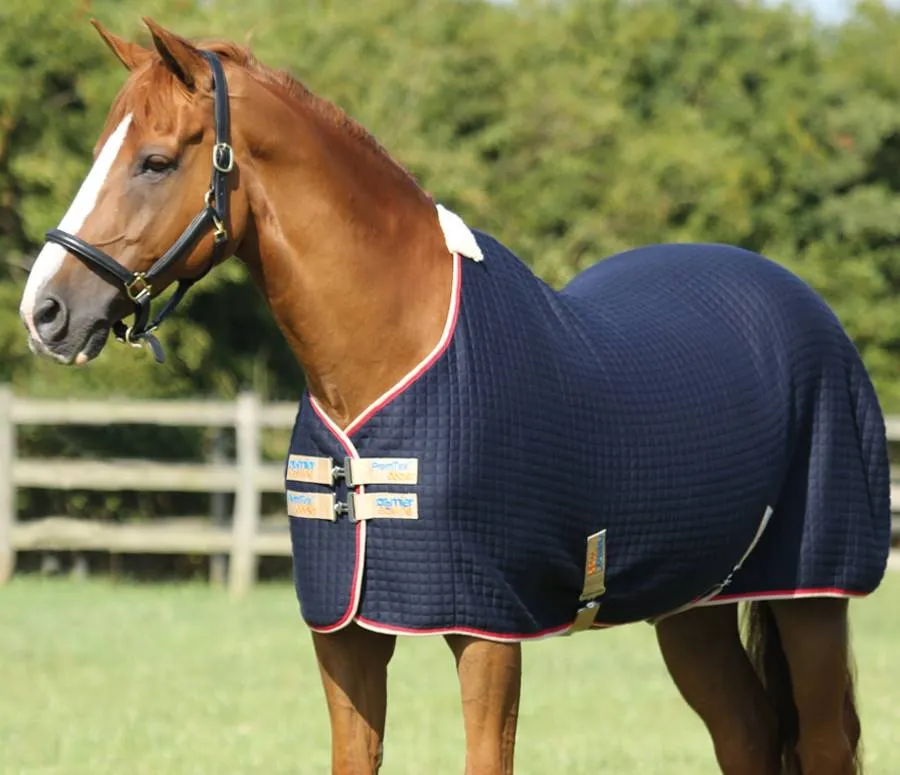 PEI Premtex Cooler Rug