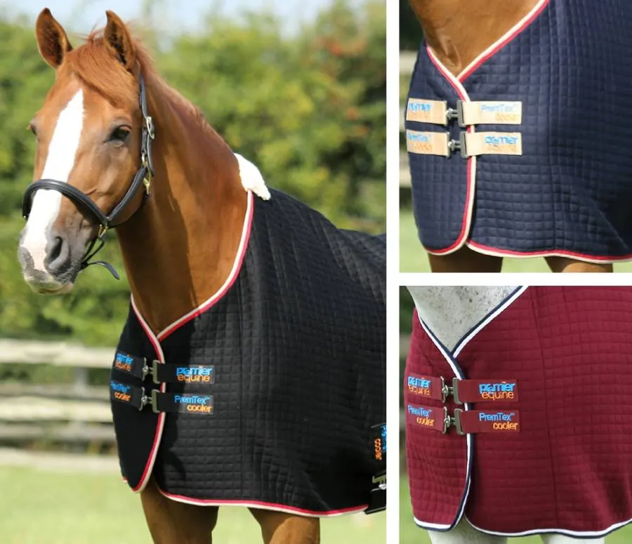 PEI Premtex Cooler Rug