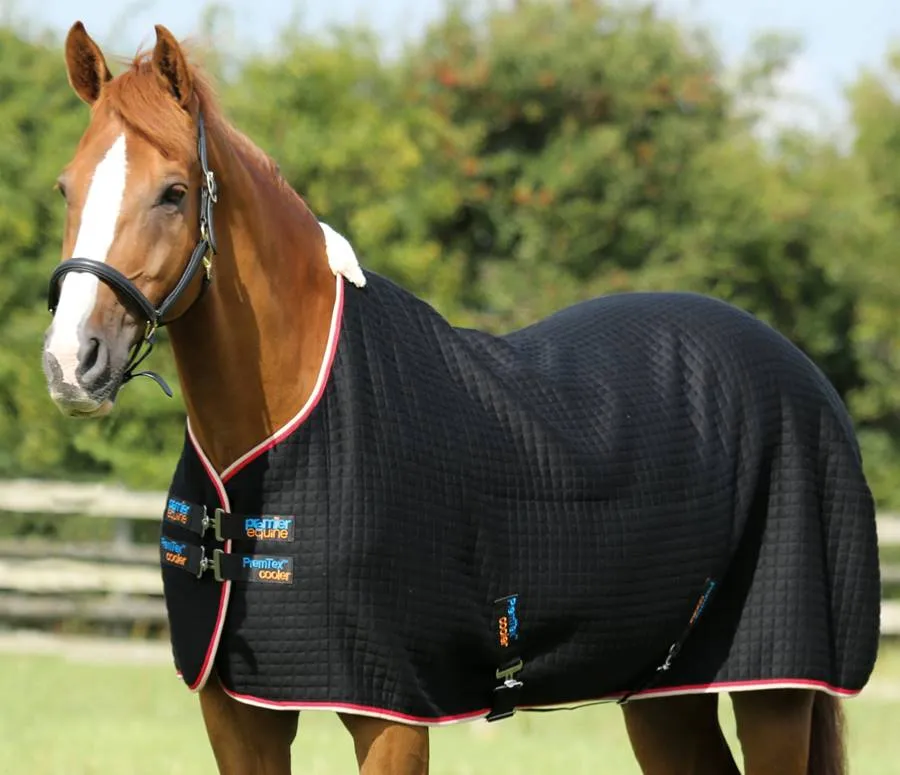 PEI Premtex Cooler Rug