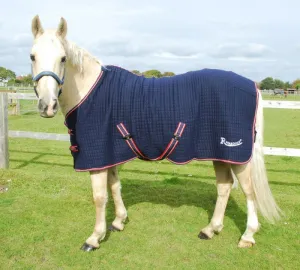Rhinegold Celltex Rug