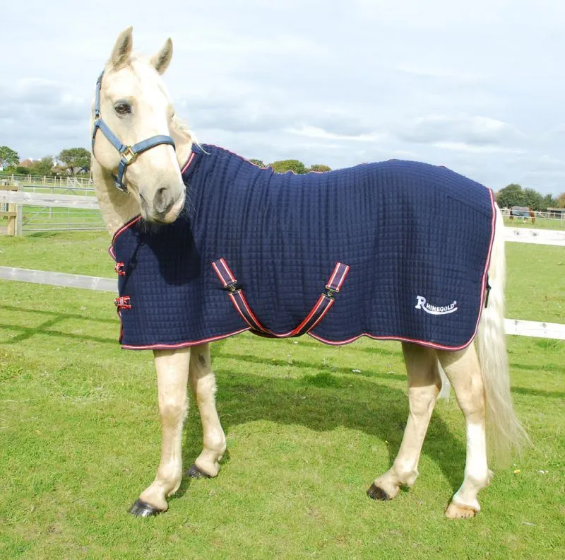 Rhinegold Celltex Rug
