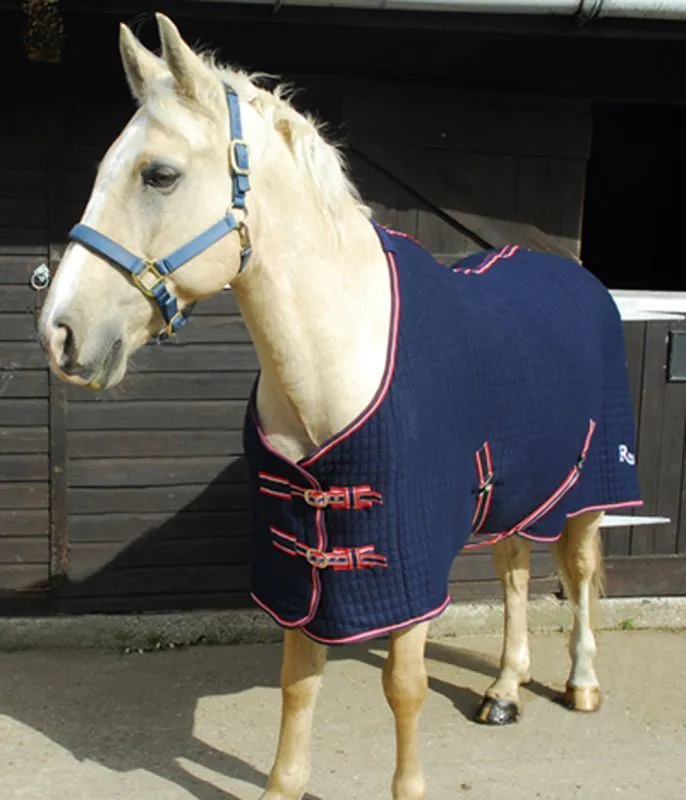 Rhinegold Celltex Rug