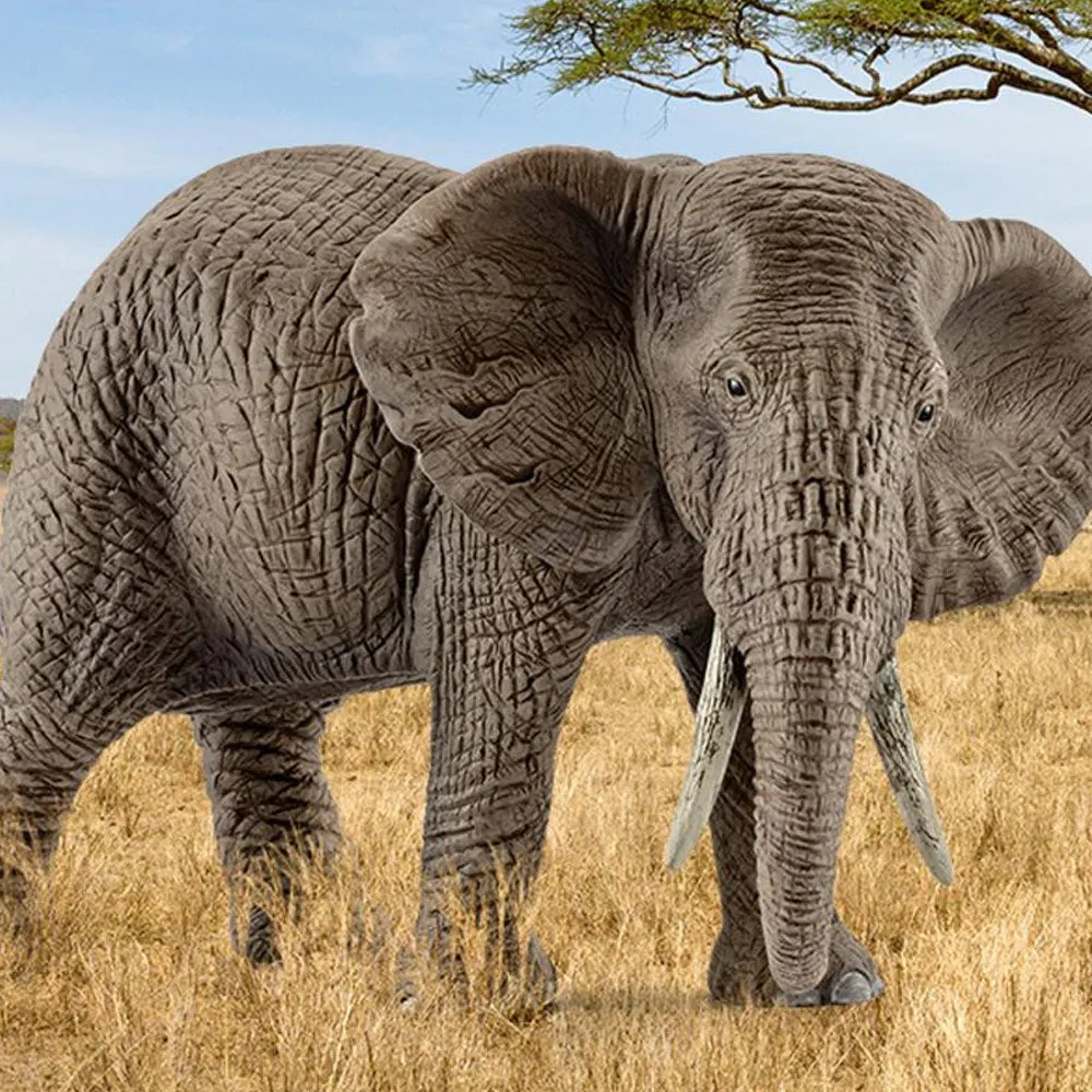 Schleich - African Elephant Female