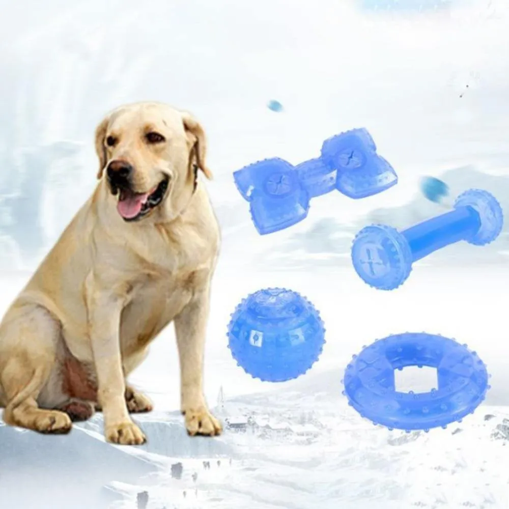 Summer Chewing Toy | Freezable Cooling Teether